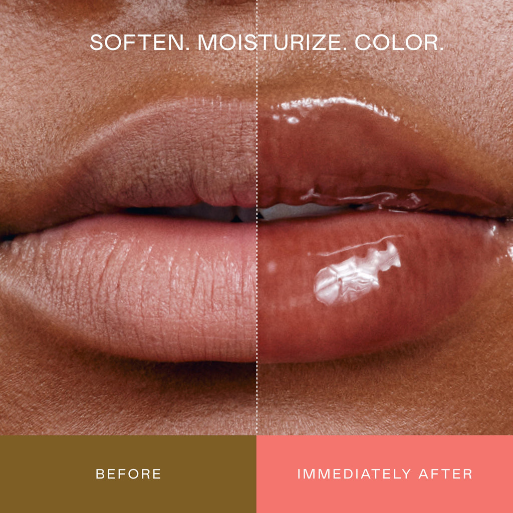 EADEM Tinted Lip Balm, Moisturizing Lip Gloss Tube for Women, Chateau Rose