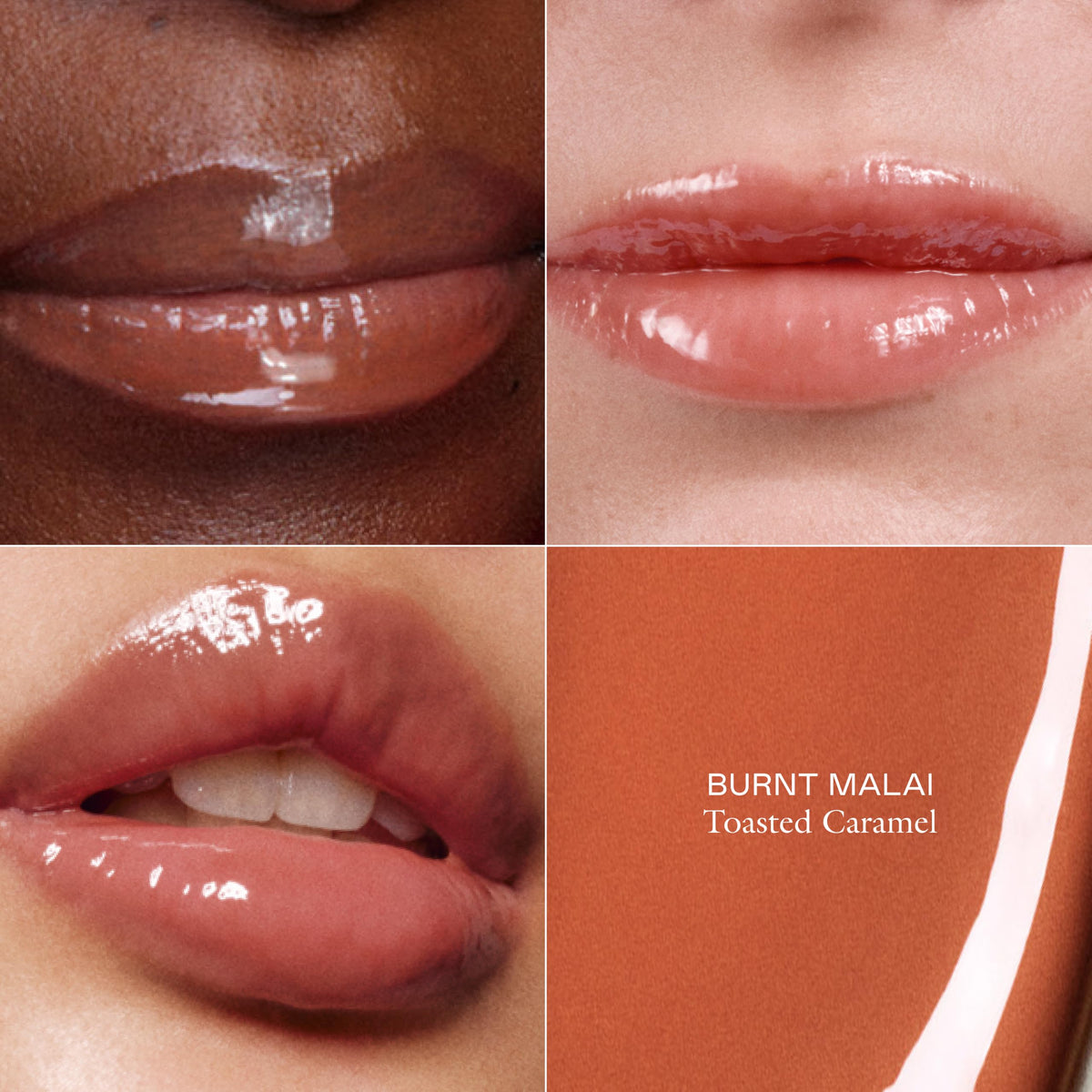 EADEM Tinted Lip Balm, Moisturizing Lip Gloss Tube for Women, Chateau Rose